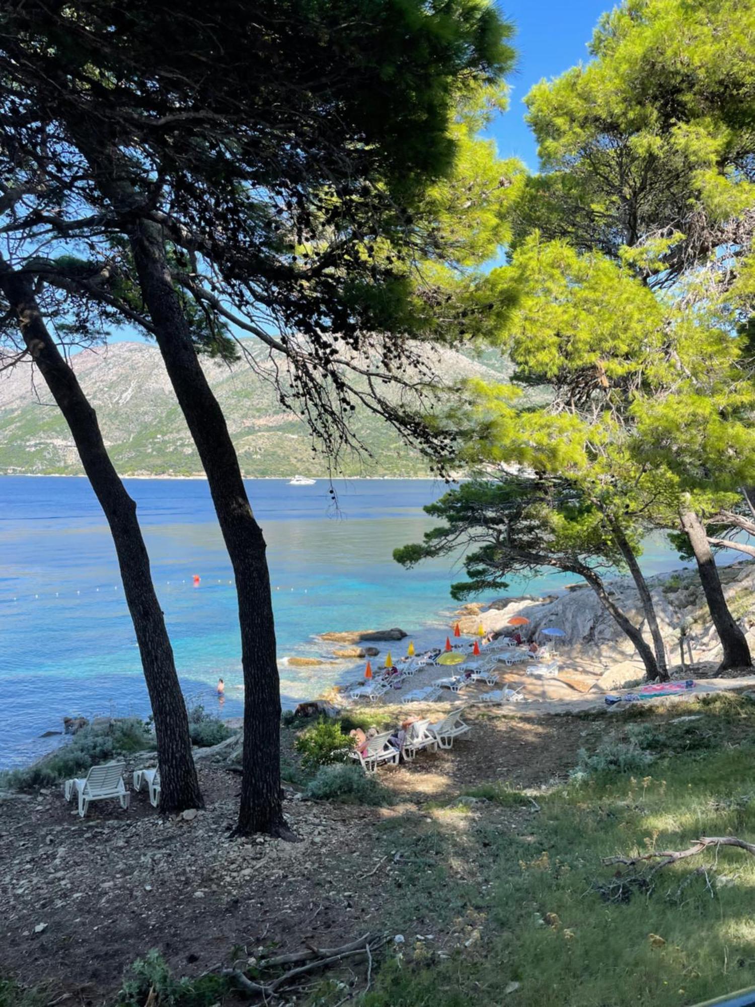 Family Ambient Apartment Cavtat Eksteriør bilde